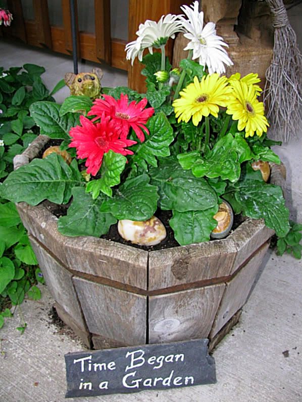 Flower Pot